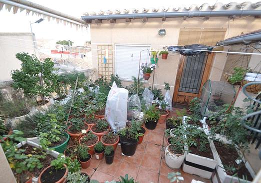 Town house in Pinoso