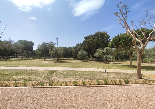 Apartment in Hacienda Riquelme Golf Resort