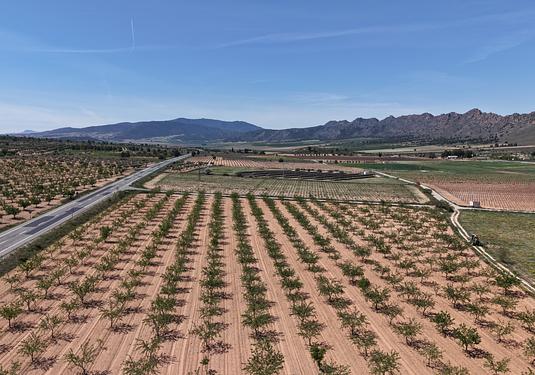 Land in Yecla