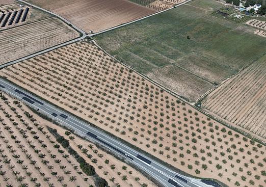 Land in Yecla