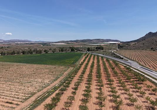 Land in Yecla
