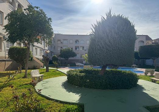 Apartment in Torrevieja